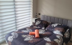 Departamento Estudio